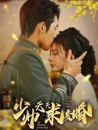 少帅天天求复婚海报