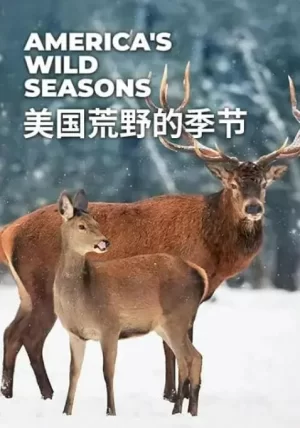 美国荒野的季节海报