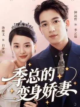 季总的变身娇妻海报