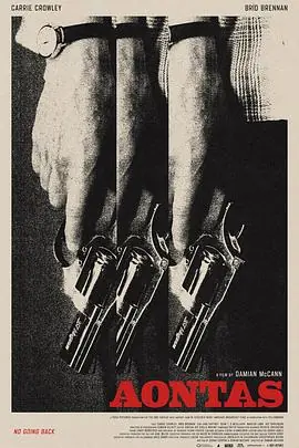 挫败的人生劫案海报