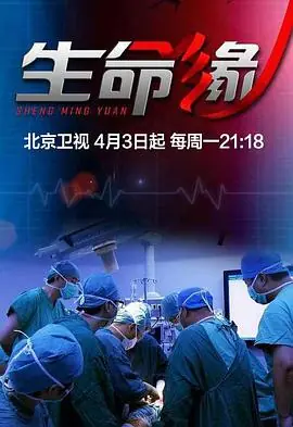 生命缘第五季海报