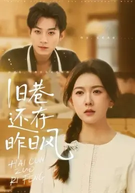 旧巷还存昨日风海报