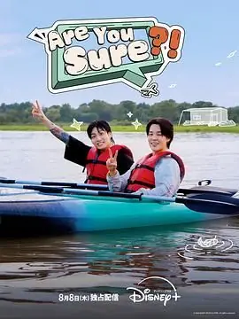 AreYouSure?!海报