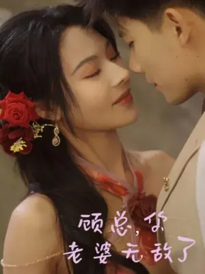 顾总,你老婆无敌了海报