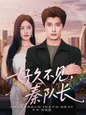 好久不见,秦队长海报