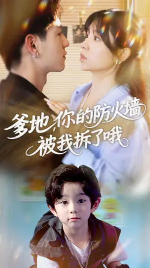 爹地你的防火墙被我拆了哦海报