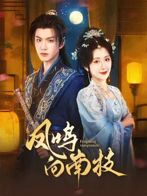 凤鸣向南枝海报