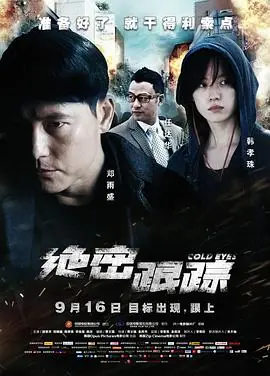 绝密跟踪(国语)海报