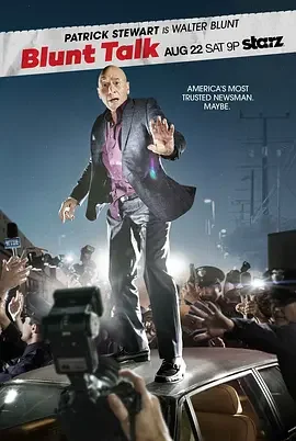 直言无讳第一季海报