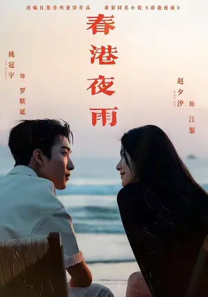 春港夜雨海报