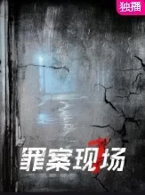 罪案现场第一季海报