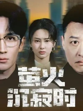 萤火沉寂时海报