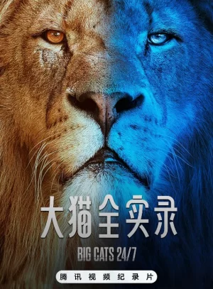 大猫全实录海报
