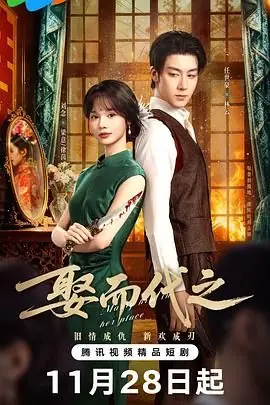 娶而代之海报