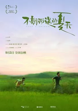 不期而遇的夏天[影视解说]海报