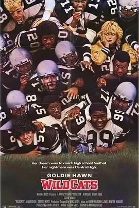 小野猫吃大老虎海报