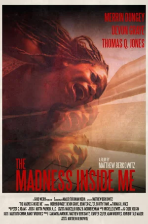 我内心的疯狂海报