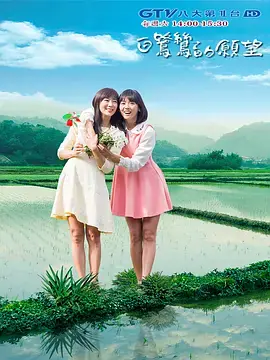 白鹭鸶的愿望海报