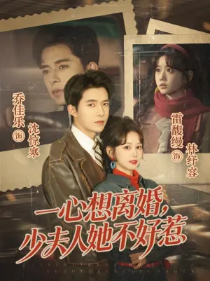 一心想离婚,少夫人她不好惹海报