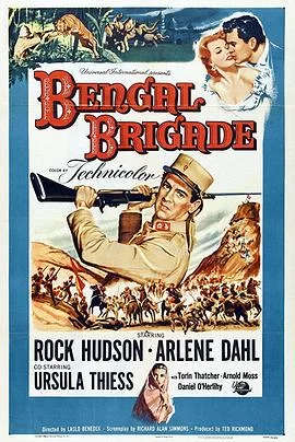 盖加拉之乱海报