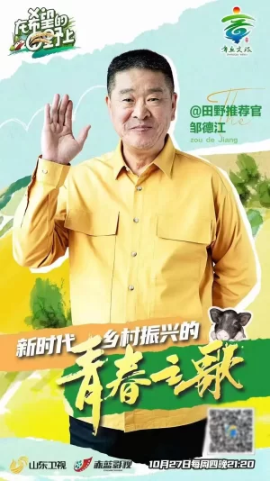 在希望的田野上海报