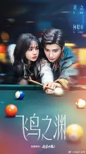 飞鸟之渊海报