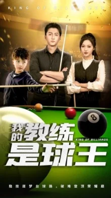 我的教练是球王海报