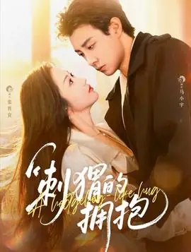 刺猬的拥抱海报