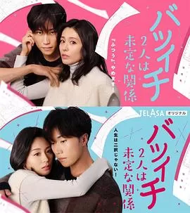 离过一次婚的2人未定的关系SP海报