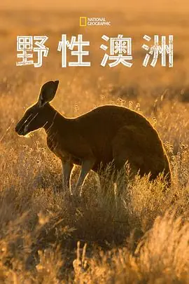野性澳大利亚海报
