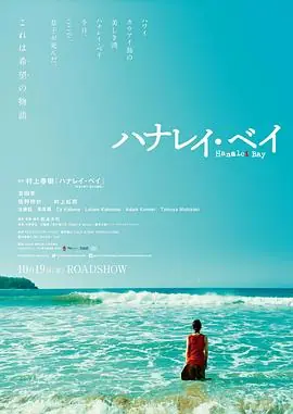 哈纳莱伊湾ハナレイ・ベイ海报
