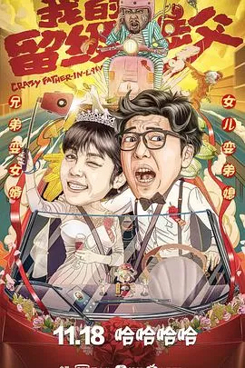 我的留级岳父海报
