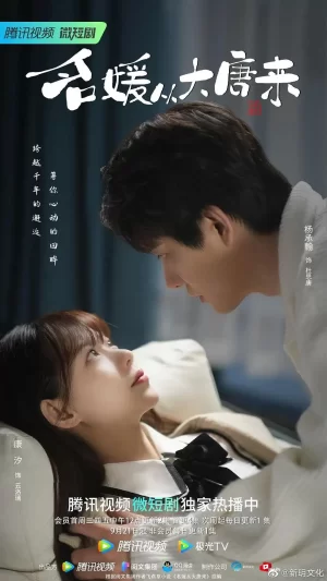 名媛从大唐来海报