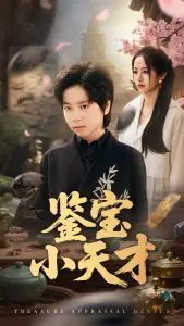 鉴宝小天才海报