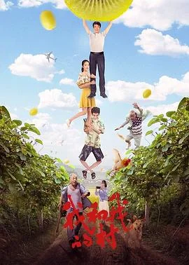 我的村我的家海报