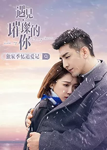 遇见璀璨的你独家季忆追爱记海报