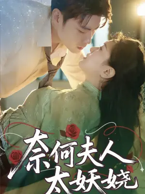 奈何夫人太妖娆海报