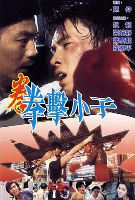 拳击小子(粤语)海报