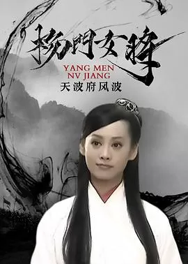 杨门女将之天波府风波海报