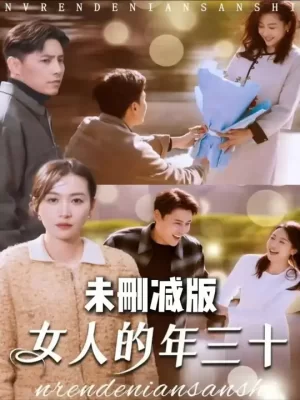 女人的年三十海报