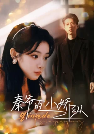 秦爷的小娇纵海报