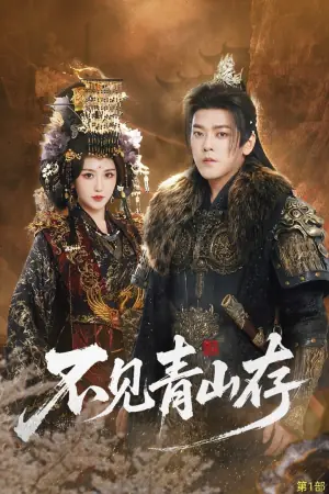 不见青山存海报