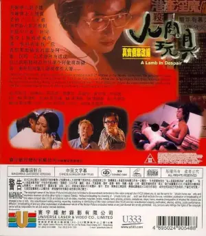 人肉玩具海报