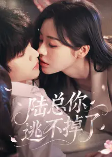 陆总你逃不掉了海报