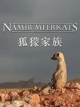 狐獴家族海报