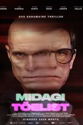 真实之物Midagit&otilde;elist海报