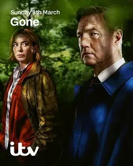 消失的妻子Gone海报