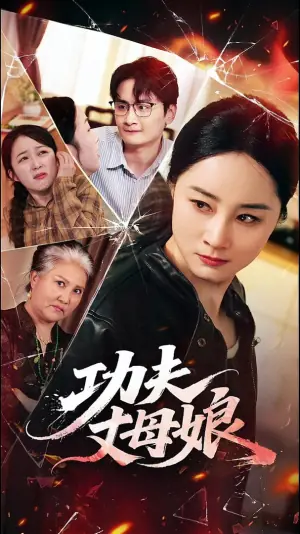 功夫丈母娘海报