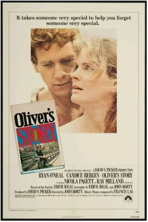 爱的故事续集海报