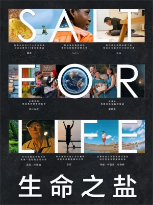 生命之盐海报